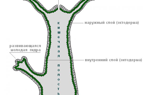 Kraken официальные зеркала