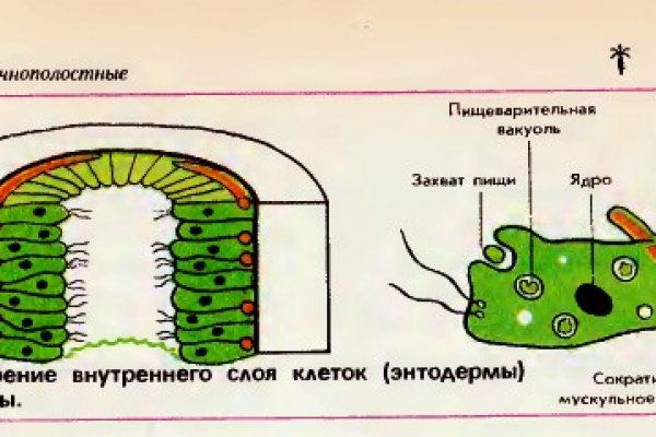 Рабочее зеркало на кракен