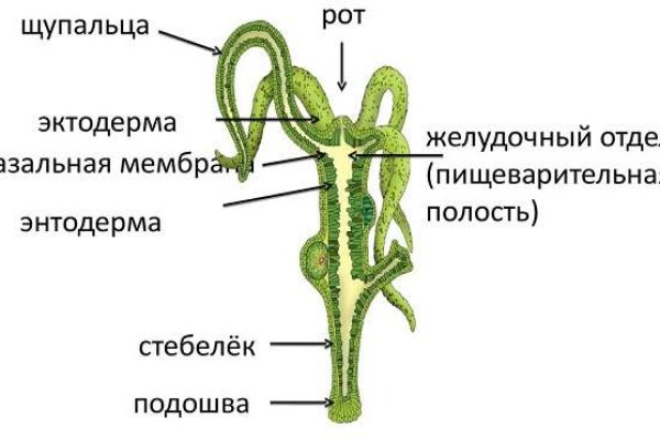 Площадки в даркнете