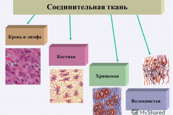 Гидра и кракен