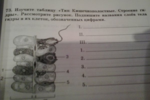 Сайт кракена актуальный