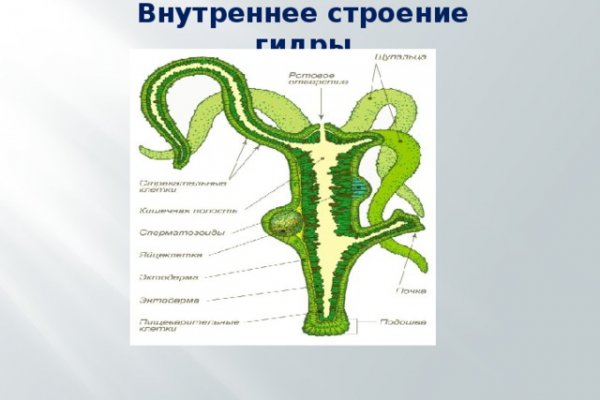 Как положить деньги на кракен