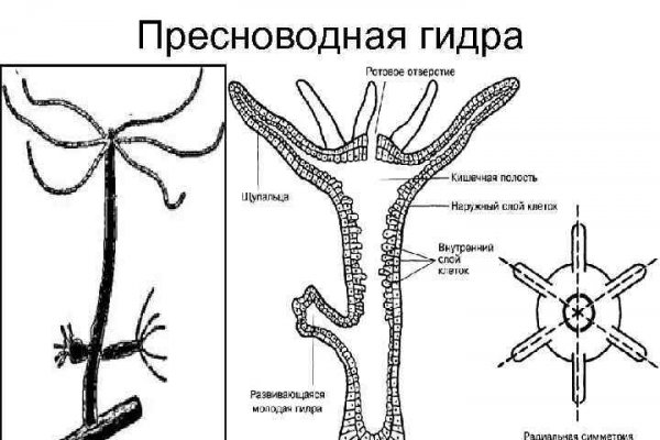 Кракен купить гашиш