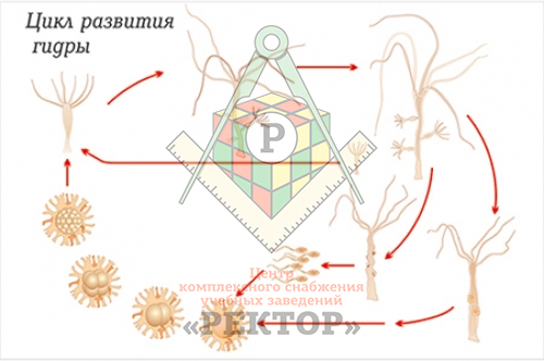 Кракен даркет